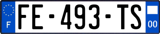 FE-493-TS