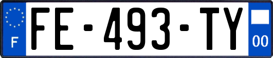 FE-493-TY