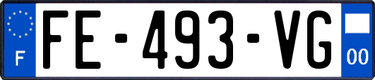 FE-493-VG