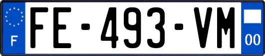 FE-493-VM
