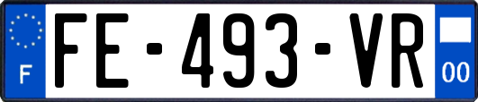 FE-493-VR