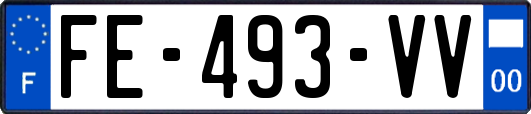 FE-493-VV