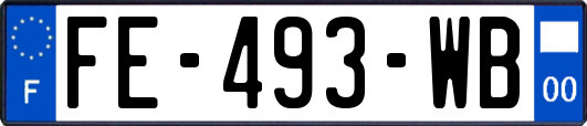 FE-493-WB