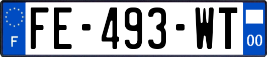 FE-493-WT