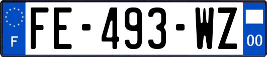 FE-493-WZ