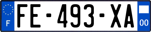 FE-493-XA
