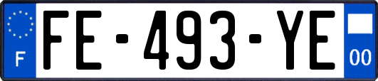 FE-493-YE