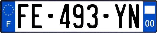 FE-493-YN