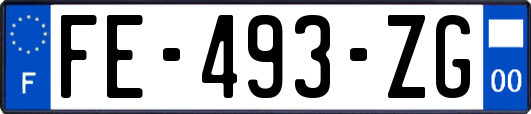 FE-493-ZG