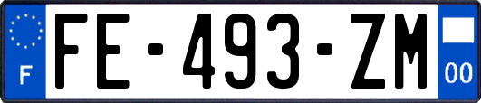 FE-493-ZM