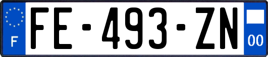 FE-493-ZN