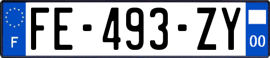 FE-493-ZY