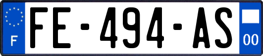 FE-494-AS
