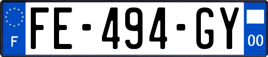 FE-494-GY