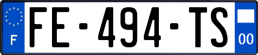 FE-494-TS