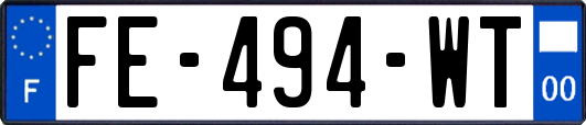 FE-494-WT