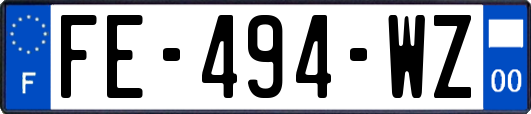 FE-494-WZ