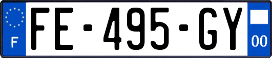 FE-495-GY