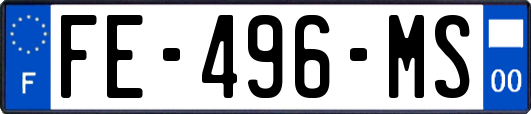 FE-496-MS