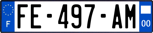 FE-497-AM