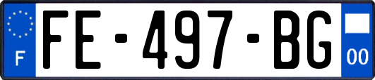 FE-497-BG