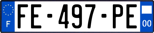 FE-497-PE