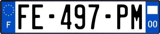 FE-497-PM