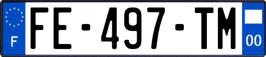 FE-497-TM