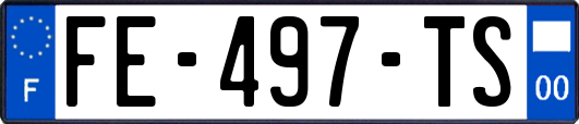 FE-497-TS
