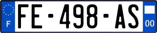 FE-498-AS