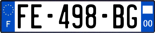 FE-498-BG