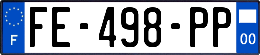 FE-498-PP