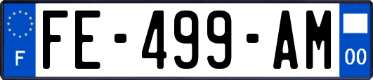 FE-499-AM