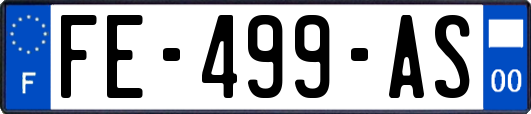 FE-499-AS