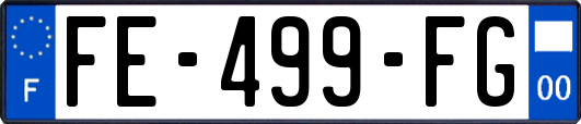 FE-499-FG