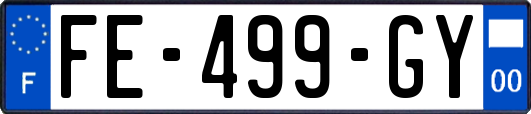 FE-499-GY