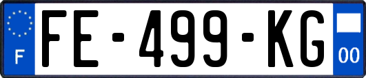 FE-499-KG