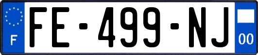 FE-499-NJ