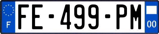 FE-499-PM