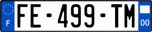 FE-499-TM
