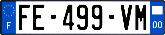 FE-499-VM