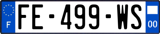 FE-499-WS