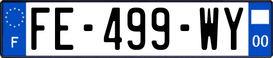 FE-499-WY