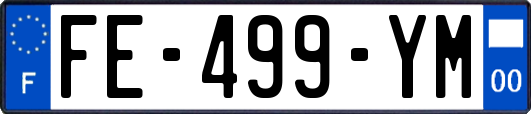 FE-499-YM