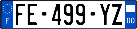 FE-499-YZ