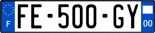 FE-500-GY