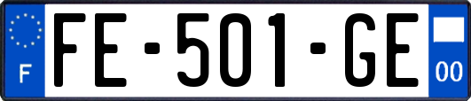 FE-501-GE