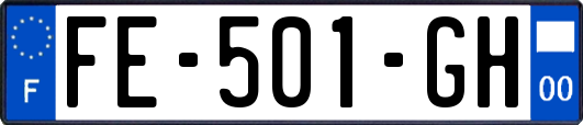 FE-501-GH
