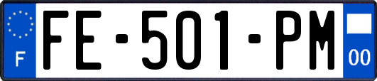 FE-501-PM