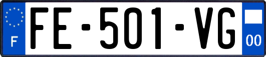FE-501-VG